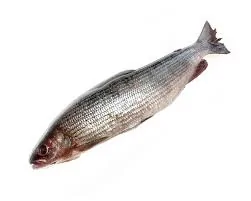 Хариус свежемороженый (1000-1500) грамм) Фото Хариус свежемороженый (1000-1500) грамм)