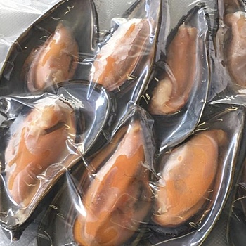 Мидия Грея на створке варено-мороженая Фото Мидия Грея на створке варено-мороженая