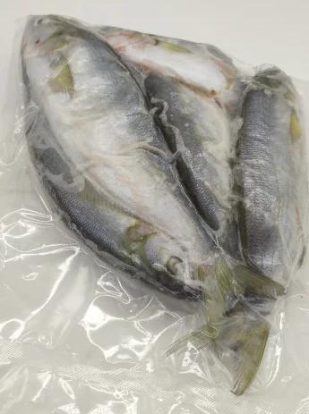 Луфарь черноморский свежемороженый (19-23см) Фото Луфарь черноморский свежемороженый (19-23см)