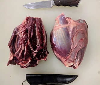 Превью Голяшка северного оленя без кости