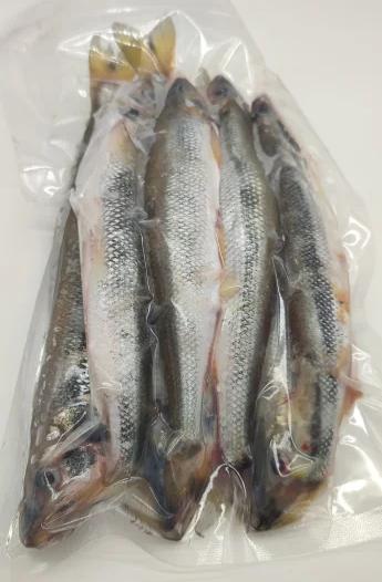 Корюшка азиатская зубастая тихоокеанская свежемороженая (20-35см) Фото Корюшка азиатская зубастая тихоокеанская свежемороженая (20-35см)