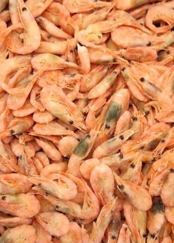 Креветка северная в/м 250+(коробка 5кг) Фото Креветка северная в/м 250+(коробка 5кг)