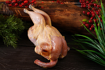 Фото Фазан Дикий