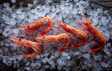 Креветка северная углохвостая варено-мороженая неразделанная МАГАДАНСКАЯ 140/200 Фото Креветка северная углохвостая варено-мороженая неразделанная МАГАДАНСКАЯ 140/200