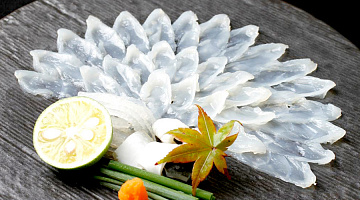 Фугу сашими Фото Фугу сашими