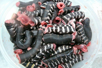 Мясо гремучей змеи Фото Мясо гремучей змеи