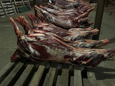 Превью Северный олень (туша) - самовывоз только