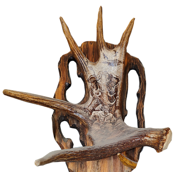 Рог лося со слоном Фото Рог лося со слоном