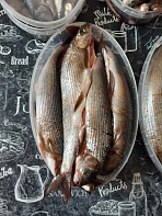 Хариус солёномороженный