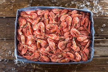 Креветка северная в/м 50-70 (коробка 5кг) Фото Креветка северная в/м 50-70 (коробка 5кг)