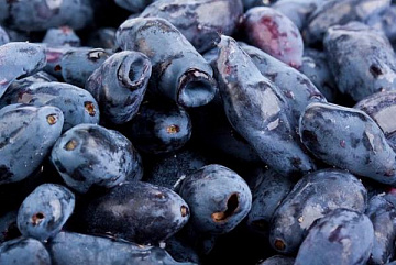 Жимолость замороженная (10 кг коробка) Фото Жимолость замороженная (10 кг коробка)