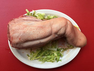 Язык буйвола Фото Язык буйвола