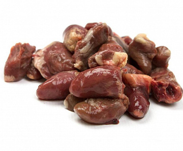 Сердце горлицы Фото Сердце горлицы