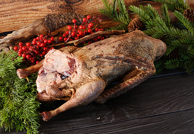 Превью Гусь (дикий) весенний