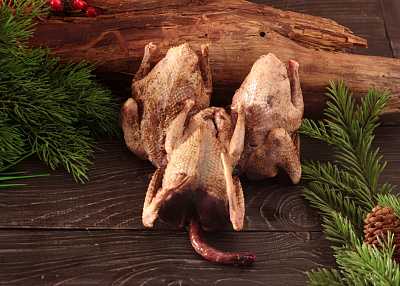 Превью Дикий вяхирь