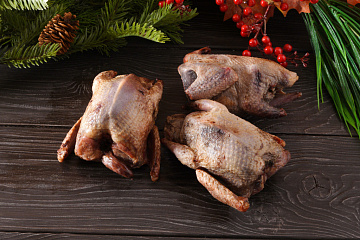 Фото Вальдшнеп(без пера)весенний