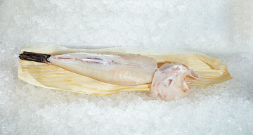 Фугу разделанная Фото Фугу разделанная