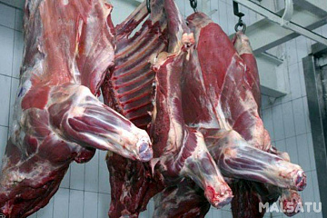 Фото Медведь(часть туши)