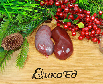 Почки тура Фото Почки тура