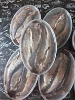 Хариус солёномороженный