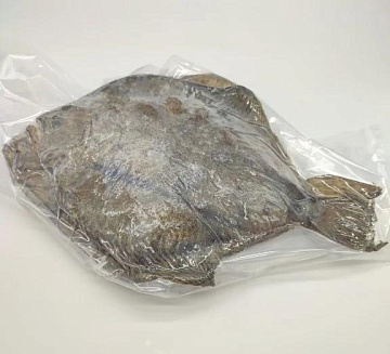 Камбала Калкан Азовская непотрошеная свежемороженая Фото Камбала Калкан Азовская непотрошеная свежемороженая