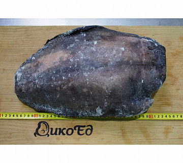 Палтус тихоокеанский синекорый (3-5 кг)потрошеный без головы Фото Палтус тихоокеанский синекорый (3-5 кг)потрошеный без головы