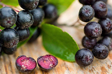 Фото Черноплодная рябина быстрозамороженная (мешок 30 кг)