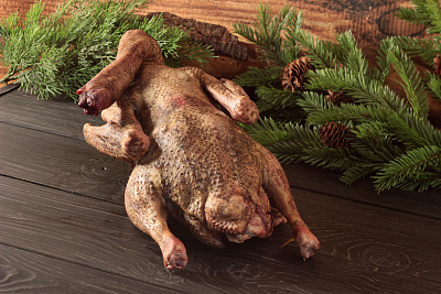 Превью Гусь (дикий) весенний