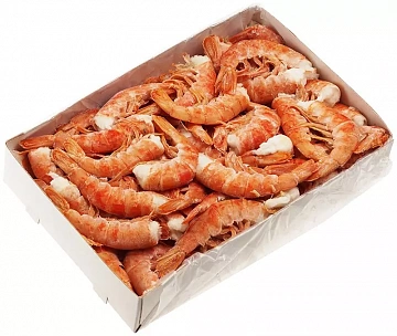 Креветка аргентинская без головы С1 41/60 Фото Креветка аргентинская без головы С1 41/60