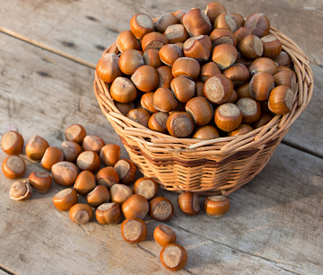 Фундук в скорлупе (500 г) Фото Фундук в скорлупе (500 г)