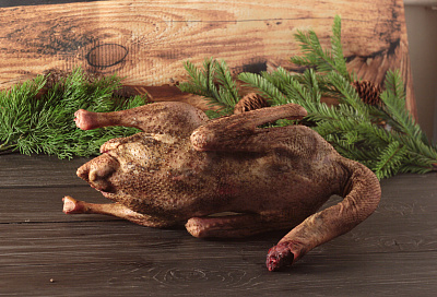 Превью Гусь (дикий) осенний 