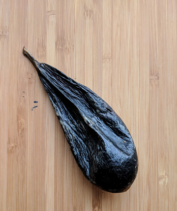 Желчь медведя вяленая (90-110гр) Фото Желчь медведя вяленая (90-110гр)