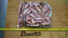 Барабуля черноморская 9-12