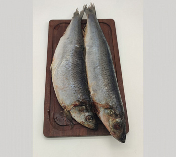 Фото Сельдь черноморская свежемороженая