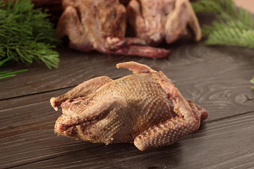 Фото Вяхирь осенний дикий