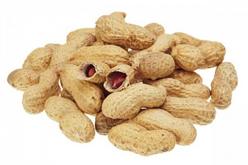 Арахис неочищенный (сырой) Фото Арахис неочищенный (сырой)