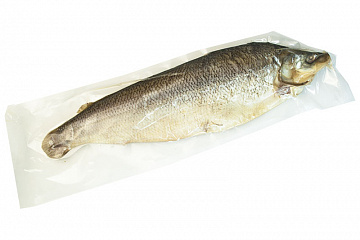 Муксун слабой соли потрошеный (тушка) Фото Муксун слабой соли потрошеный (тушка)
