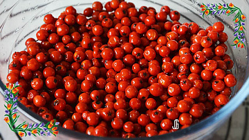 Фото Рябина красная быстрозамороженная (мешок 30 кг)