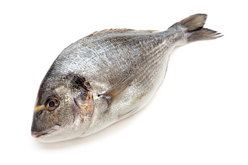 Дорадо с/м (800-1000г) коробка 5кг Фото Дорадо с/м (800-1000г) коробка 5кг