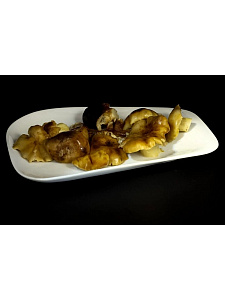 Превью Подтопольник солёный