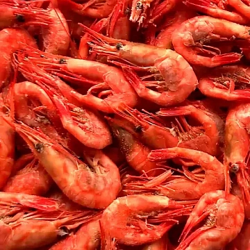 Креветка северная варено-мороженая неразделанная МАГАДАНСКАЯ 80/130 Фото Креветка северная варено-мороженая неразделанная МАГАДАНСКАЯ 80/130