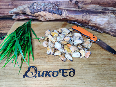 Превью Мидии очищенные варено-мороженые 1 кг (100/200)