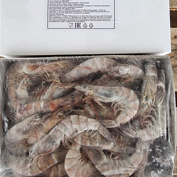 Фото Креветка королевская Ваннамей целая 30/40(сыромороженные)