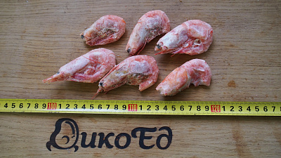 Превью Креветка северная 70/90