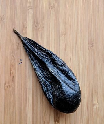 Желчь медведя вяленая (150-180гр) Фото Желчь медведя вяленая (150-180гр)