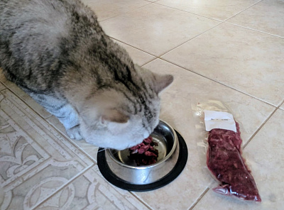 Превью Лосятина для котиков