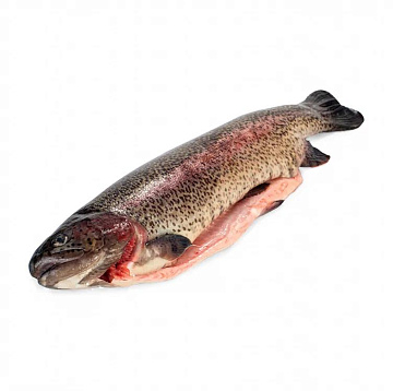 Форель радужная свежемороженая потрошеная с головой 1,5-2кг Фото Форель радужная свежемороженая потрошеная с головой 1,5-2кг