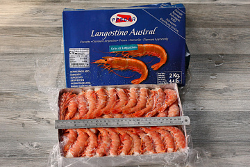 Креветка аргентинская без головы С1 36/45 Фото Креветка аргентинская без головы С1 36/45