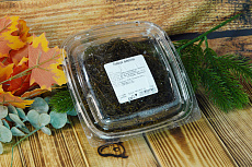 Морской виноград сахалинский