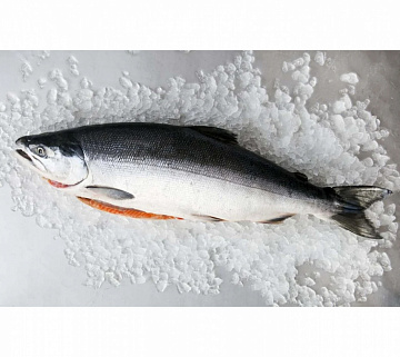 Нерка штучной заморозки потрошеная с головой Фото Нерка штучной заморозки потрошеная с головой